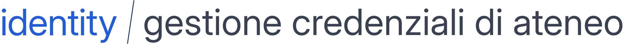 Logo Identity